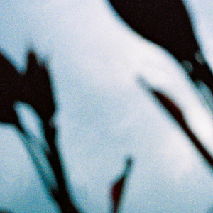 爆操美女的烧穴
